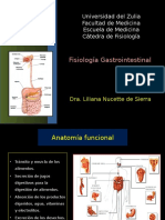 Fisiologia Digestiva