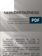 GLUCONEOGENESIS