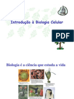 Biologia - Biologia Celular 1