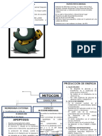 Mapa Conceptual Mitocondrias