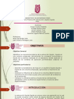 Seminario Práctica 4 Extracción Líquido Líquido