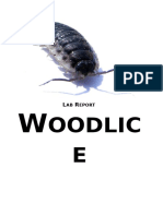 Woodlice