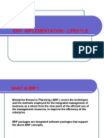 02 ERP Implementation Lifecycle