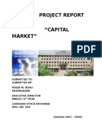 Project Report On Capital Market