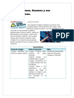 Virus, Troyanos, Gusanos y Sus Características.