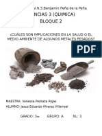 ¿Cuáles Son Implicaciones en La Salud o El Medio Ambiente de Algunos Metales Pesados?