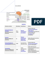 Hormona 1 PDF