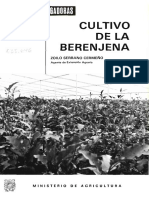 El Cultivo de La Berenjena