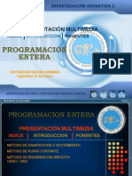 Programación Entera Investigacion Operativa