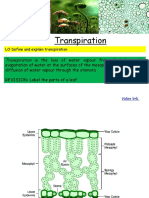 Transpiration