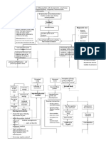 Pathway - Skoliosis GROUP