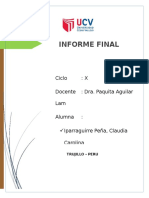 Informe Final de Todo El Ciclo IV