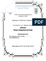 Informe Diagrama de Flujo