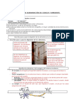 Examen Resuelto Ciencia y Ambiente