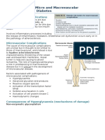 Pathogenesis of Micro and Macrovascular Complications of Diabetes