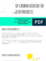 Function of Carbon Dioxide in Photosynthesis