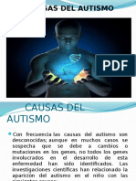 Causas Del Autismo