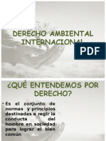 DERECHO AMBIENTAL INTERNACIONAL Avanzado