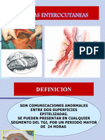 Fistula Enterocutanea 2