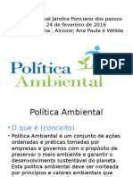 Politica Ambiental