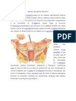 Aparato Reproductor Femenino