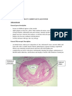 Practical 4 Cardivascular and Hepatobiliary System