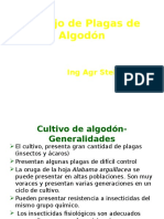 Manejo de Plagas de Algodón