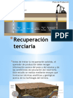 Recuperación Terciaria