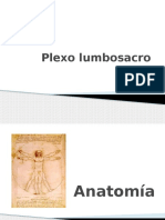 Plexo LumboSacro