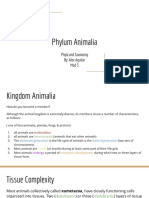 Phylum Animalia