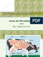 Microbiologia Del Rumen