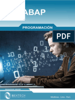 Brochure Sap Abap