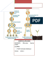 Práctica I. Mitosis y Meiosis