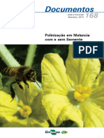 Polinização de Melancia