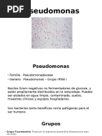 Pseudomonas y Burkholderia