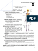 Radiologia 06 - Sistema Esqueletico - Medresumos