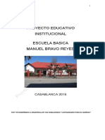 PEI Escuela Manuel Bravo Reyes 