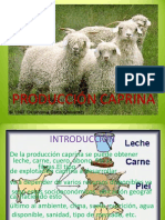 Producción Caprina