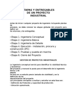 Entregables de Un Proyecto Industrial