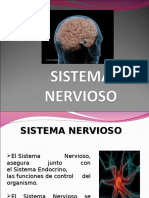 Diapositivas Del Sistema Nervioso