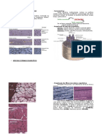 Histologia - Tecido Muscular