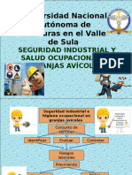 Seguridad Industrial y Salud Ocupacional en Granjas Avicolas