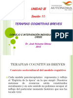 Sesion 11 Consejeria Breve y en Crisis 2015