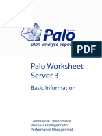 Palo Worksheet Server 3: Basic Information