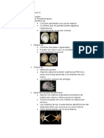 1 - Práctica Moluscos I