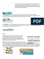 Fundamentos de La Natación