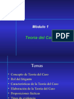 M1-Teoría Del Caso