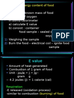 Food Digestion