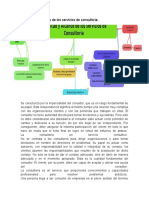 Amplitud y Alcances de Los Servicios de Consultoría