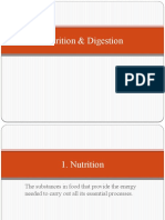 Nutrition & Digestion